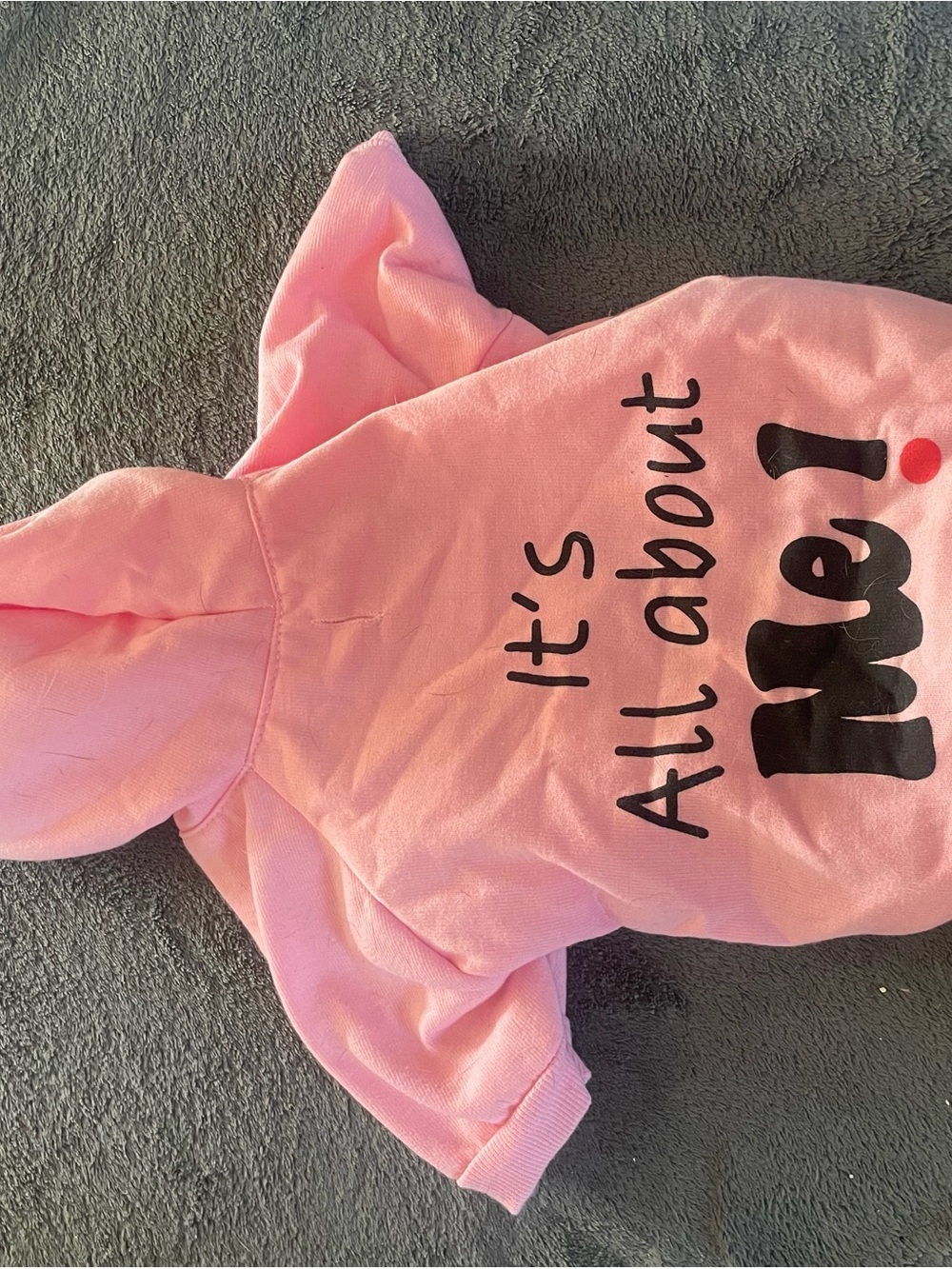 Pink Pet Hoodie with 'It's All About Me!' Graphic